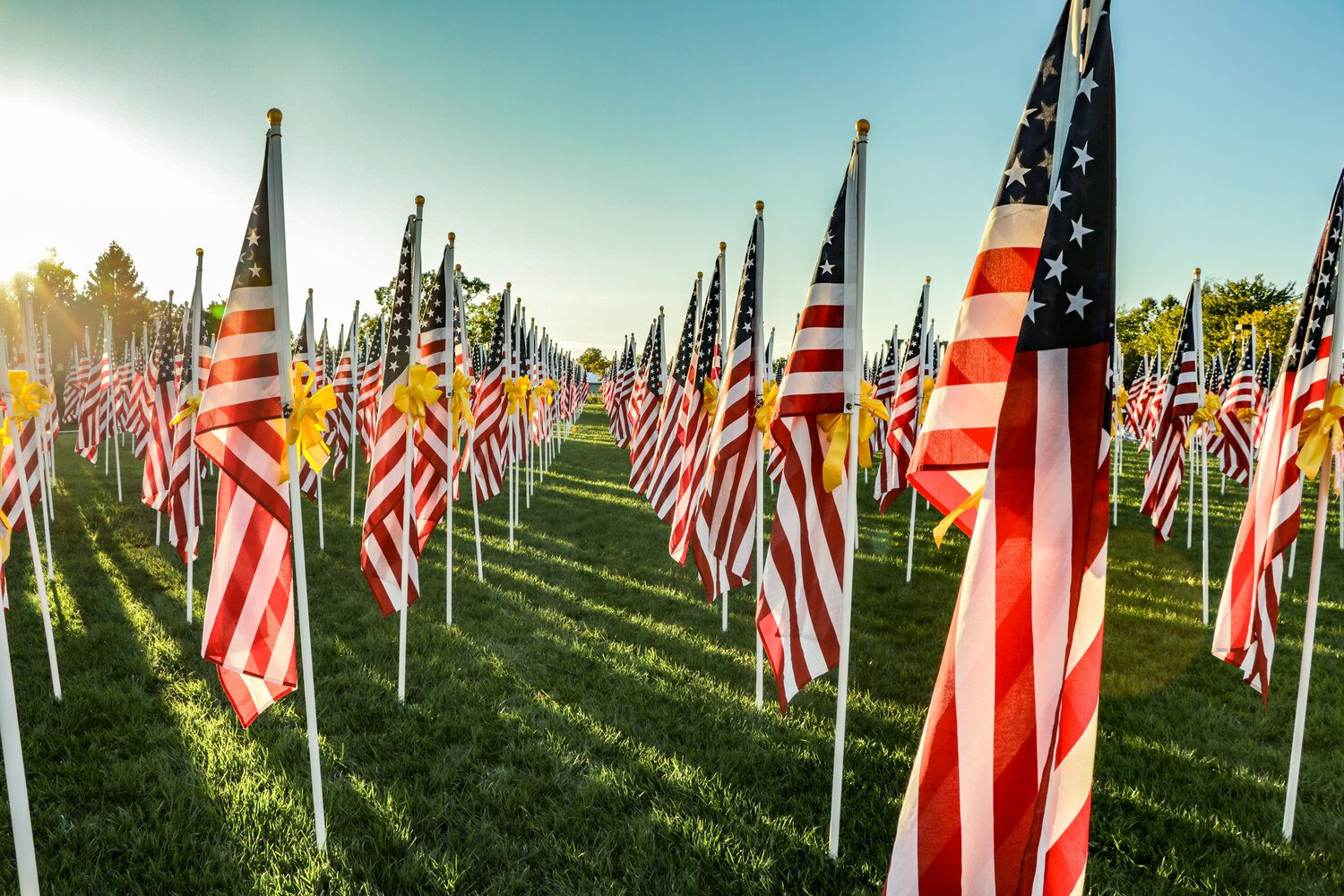 Americanism Donations - Image 3