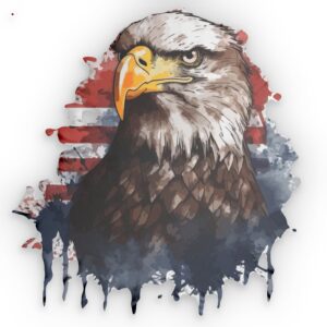 Eagle Wall Art Pillow