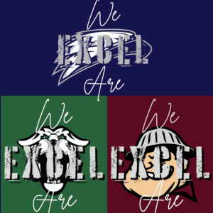 Sponsor The Excel Club