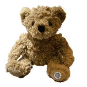 Teddy Bear Fundraiser